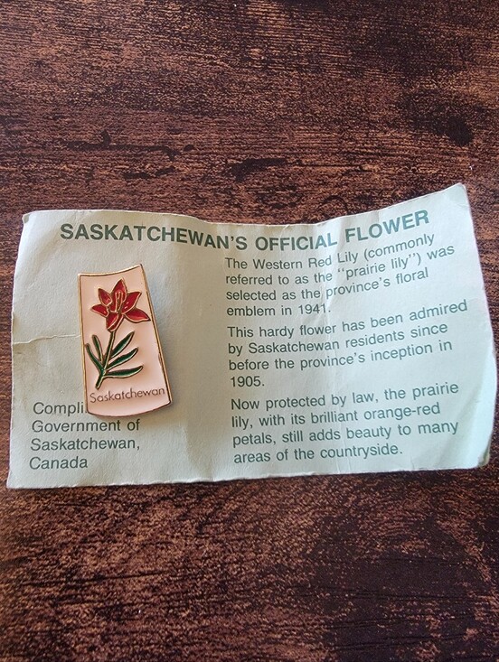 Vintage Other - Vintage Saskatchewan Canada Souvenir Lapel Pin